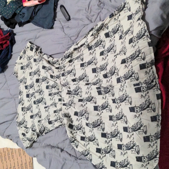 Lucky 13 raven Edgar Allen Poe skater dress - Picture 4 of 4